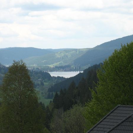 Hotel Gaestehaus Faller Feldberg  Zewnętrze zdjęcie