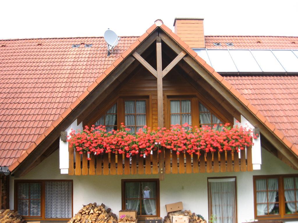 Hotel Gaestehaus Faller Feldberg  Zewnętrze zdjęcie