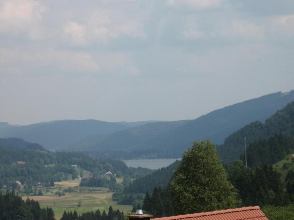 Hotel Gaestehaus Faller Feldberg  Pokój zdjęcie